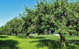 018 - sommer an der grenze